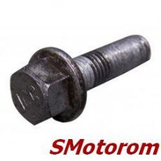 Болт поддона картера 25мм
