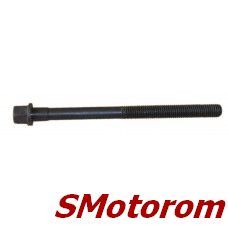 Болт ГБЦ (головки блока цилиндров) Viktor Reinz