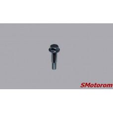 Болт крепления скобы распредвала